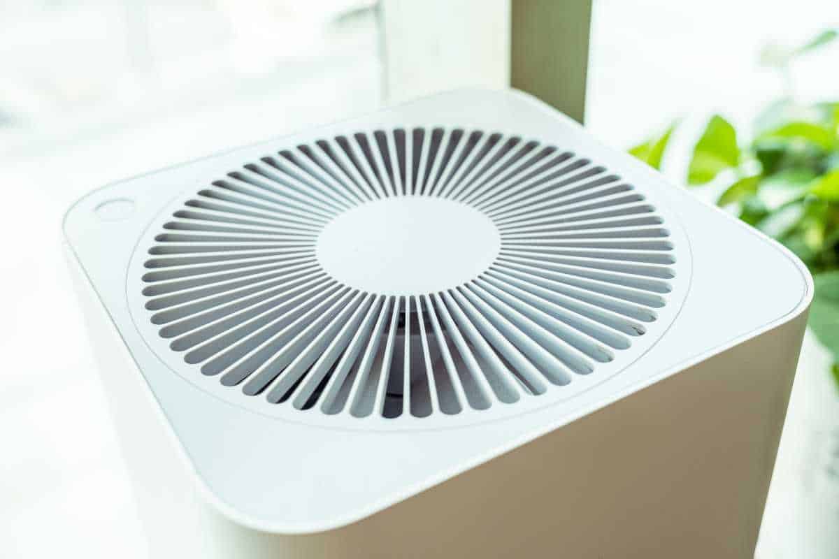 Best air Purifier for a Dorm 2022-starting from $80