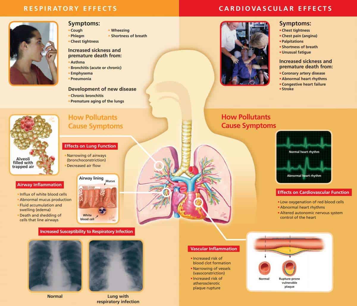 VOCs and Health-present in all our homes cancer is the main problem