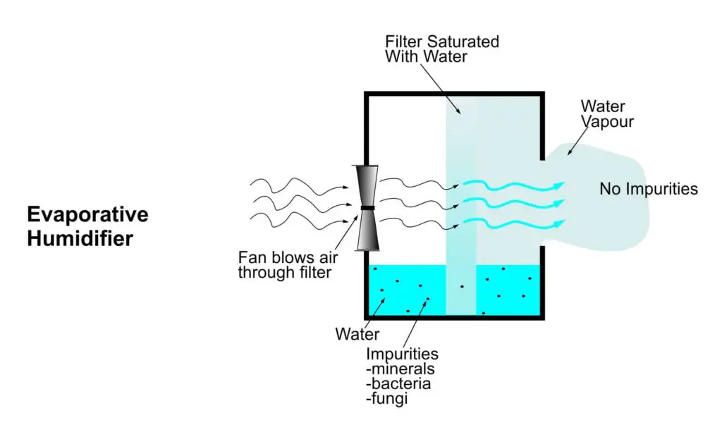 Schematic diagram of an evaporative humidifier