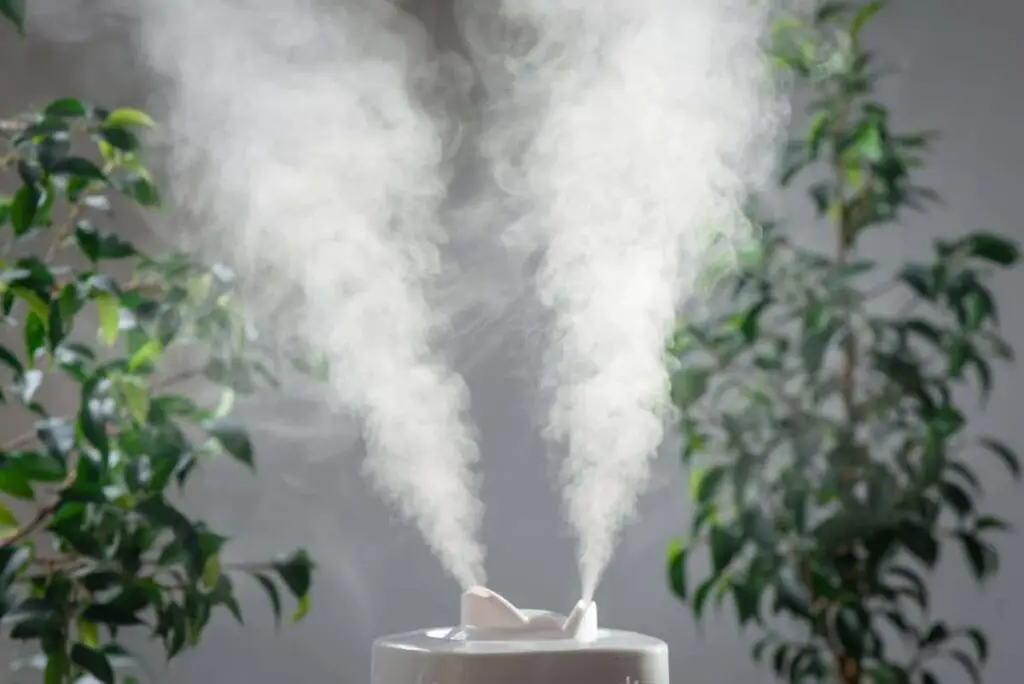 Humidifier emitting jets of water vapour