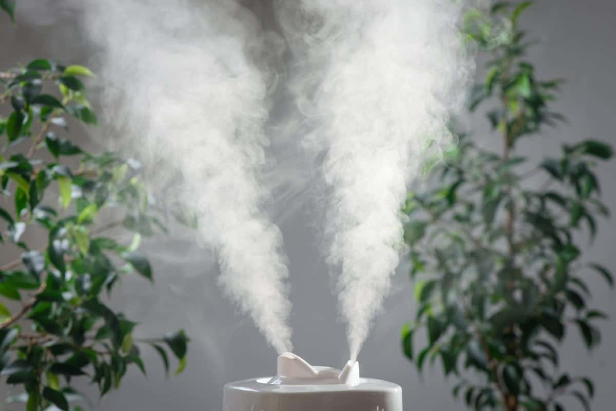 Do Humidifiers Help With Asthma? Yes in 2 Important Ways
