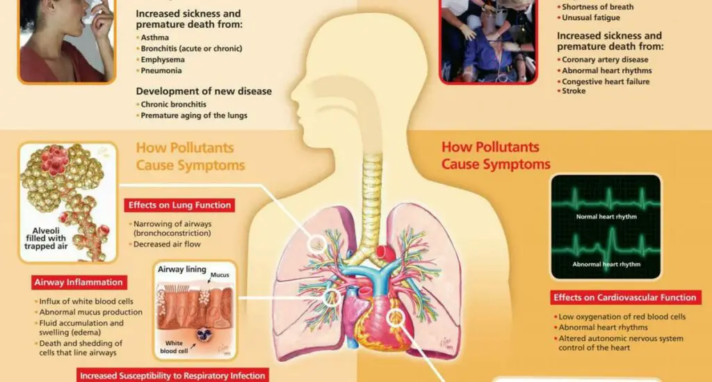 Health affects of airborne particles-EPA diagram