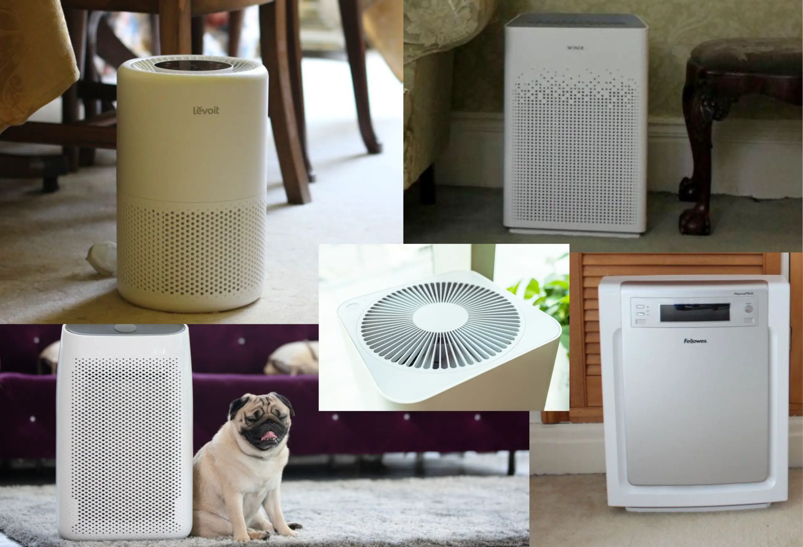 How Many Air Purifiers? 3-5 for the most amazing home