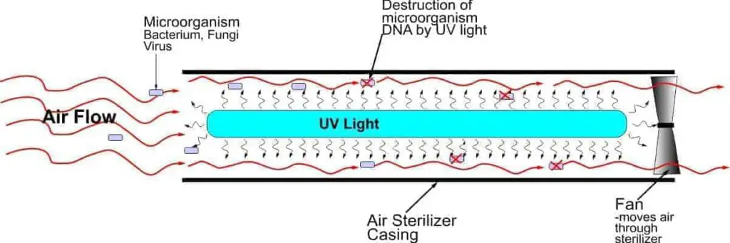 Diagram of mechanism of action of a UV Sterilizer