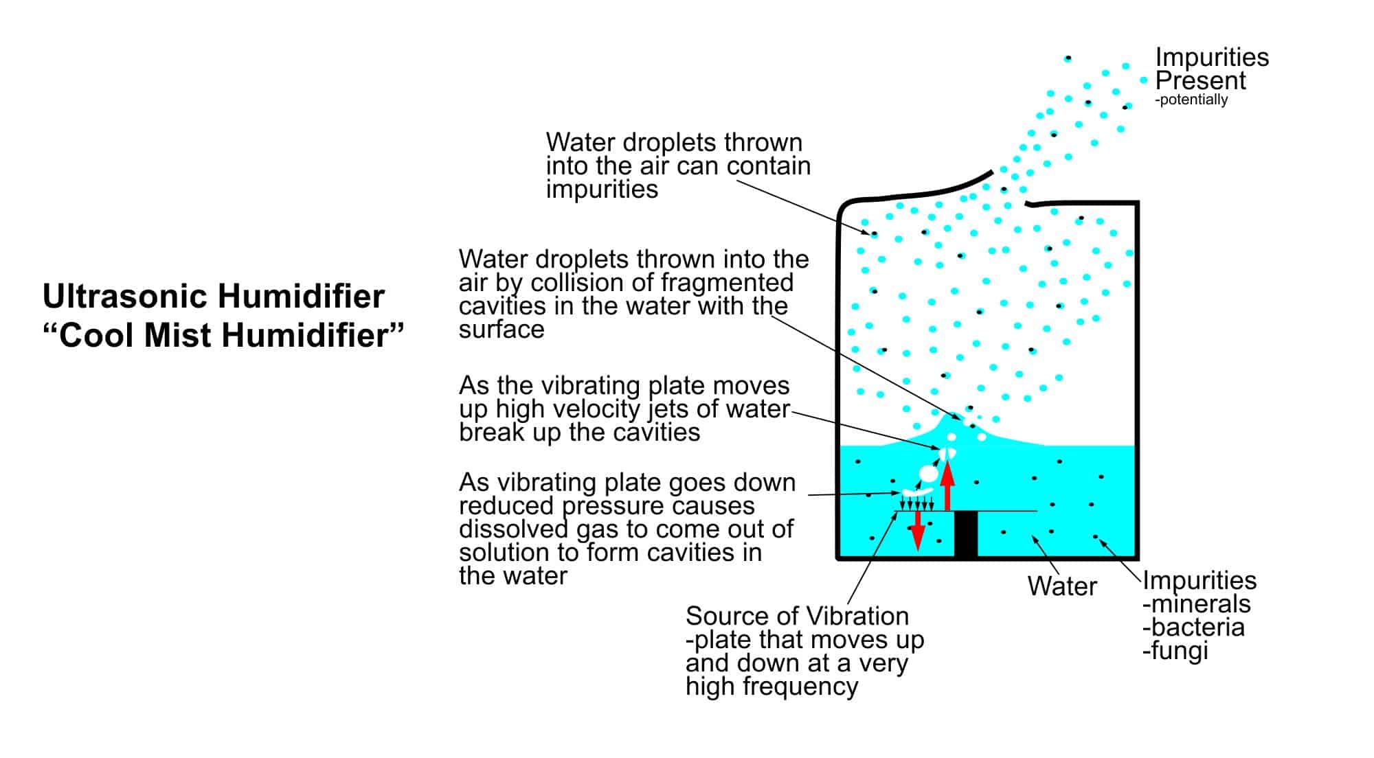 Different Types Of Humidifiers-Only 1 Type Will Be Perfect For You