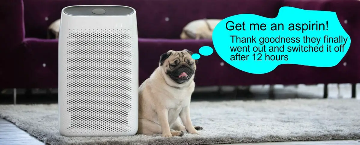 Best Air Purifier for Pets 2022-as cheap as $80 WOOF!